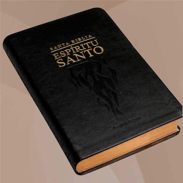 Biblia Negra