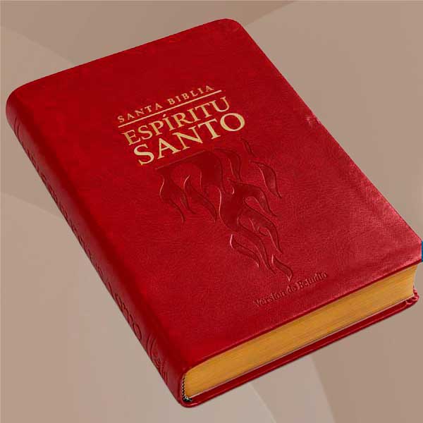 Biblia Vinotinto